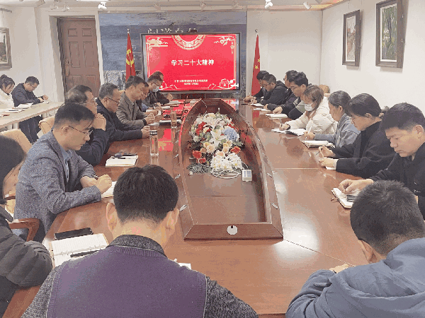 公司黨員集體學(xué)習(xí)二十大報(bào)告